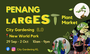 Gardening fans, let's gather at New World Park, Penang. The largest Plant Market, City Gardening KL is coming to town!