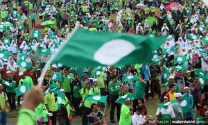 PAS hopes youths seeing red over PH-BN alliance will paint Tioman green