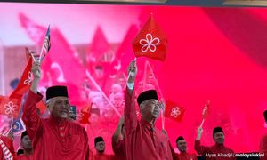 土团党大会议决，挺慕尤丁领导和当首相人选