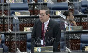 林冠英举例威北三国席，力证在野党选区有拨款