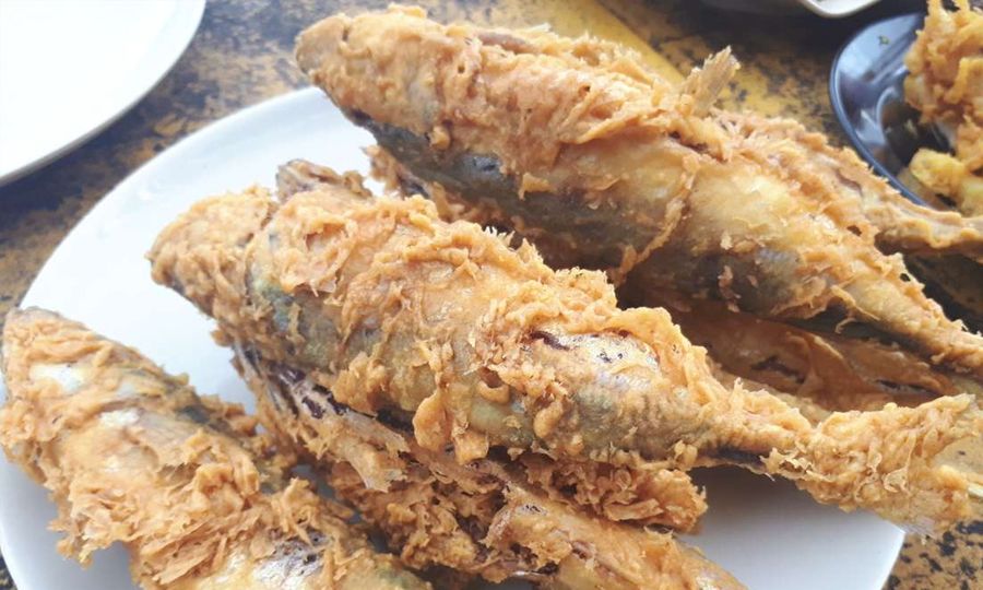 MyIPO cadang ikan celup tepung didaftar jadi harta intelek Terengganu