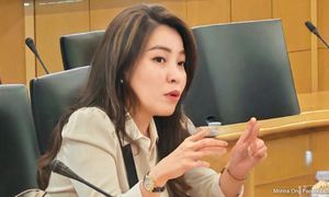 MCA urges testing, fixes ahead of major govt aid rollout