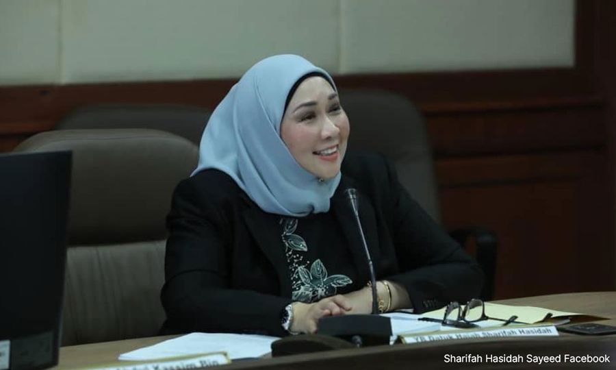 S'wak has submitted proposal on increasing MPs tally to 35pct 
