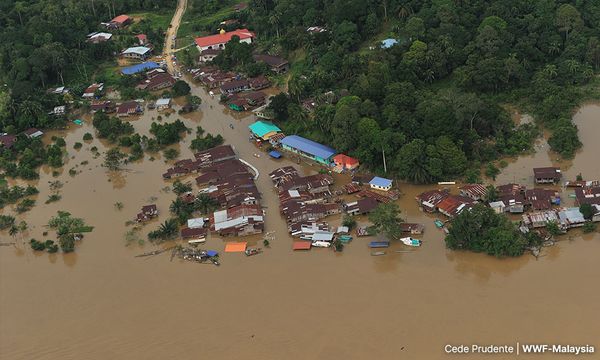 COMMENT | COP27 and COP15: What is next for Malaysia? 