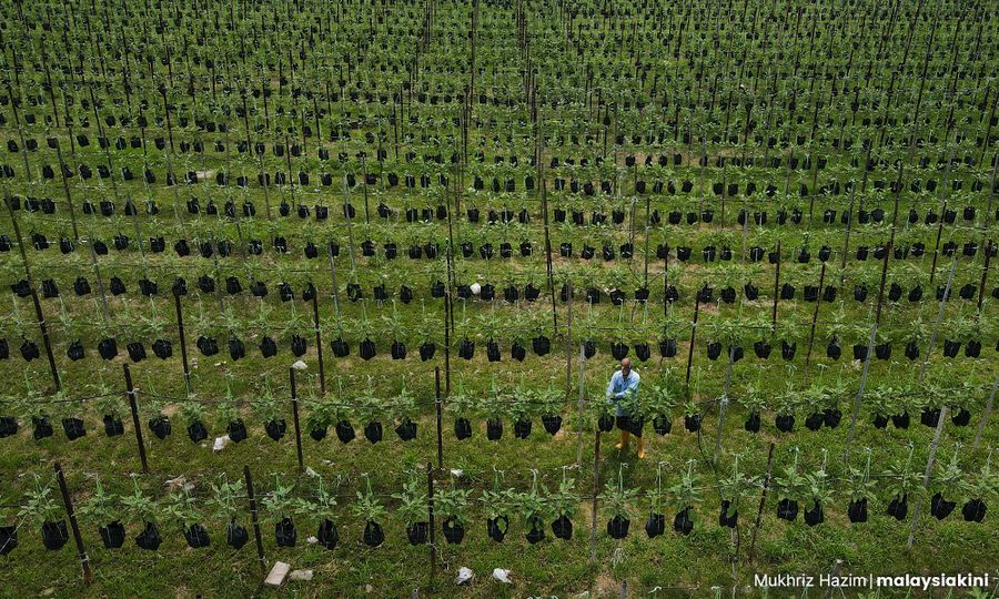 LETTER | Navigating the depths of climate crisis