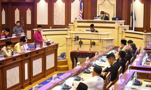 Two Pahang opposition reps vow support for Umno MB until next polls