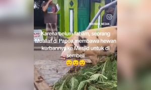 Ustaz terkedu, mualaf serah babi untuk dijadikan korban Aidiladha