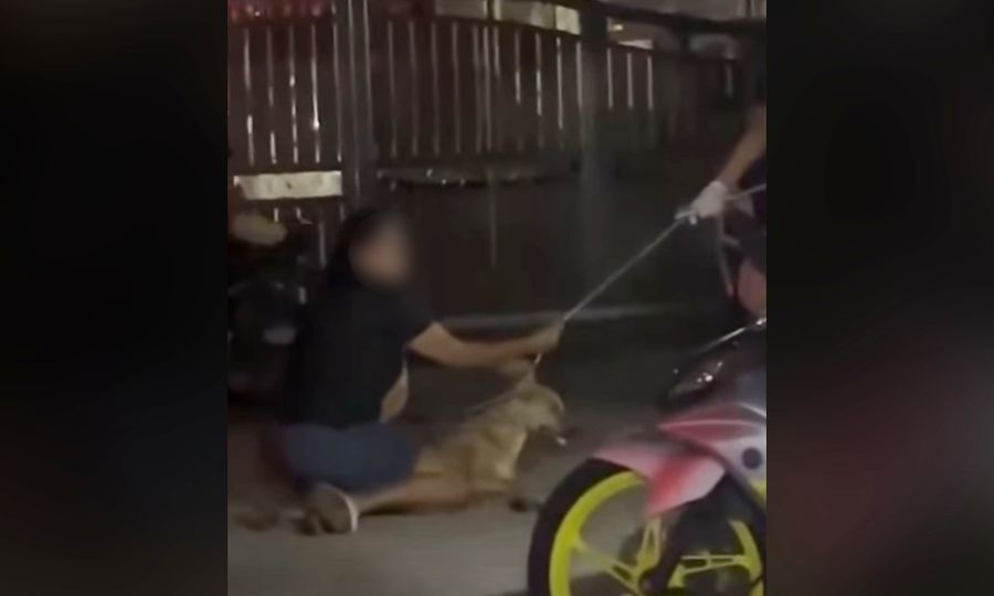 Bekas MP gesa siasatan ‘pembunuhan kejam’ Rocky