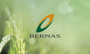 Review law relating to Bernas to meet Sabah’s needs, state rep urges Putrajaya