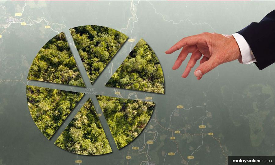 Loophole for developers: Cutting forest reserve projects into small pieces