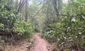 赴坟场道路为何破烂？新古毛原民JAKOA各执一词