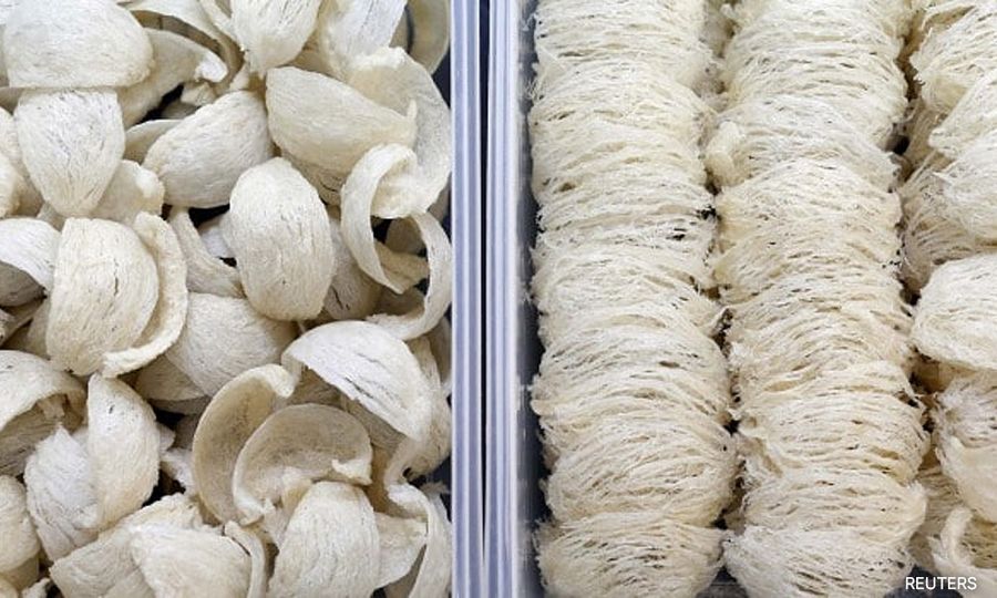Authorities seize bird's nest worth RM250k at KLIA