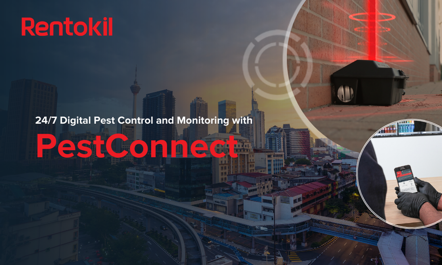 Entering a new era of pest control with PestConnect: A digital approach to rodent infestations