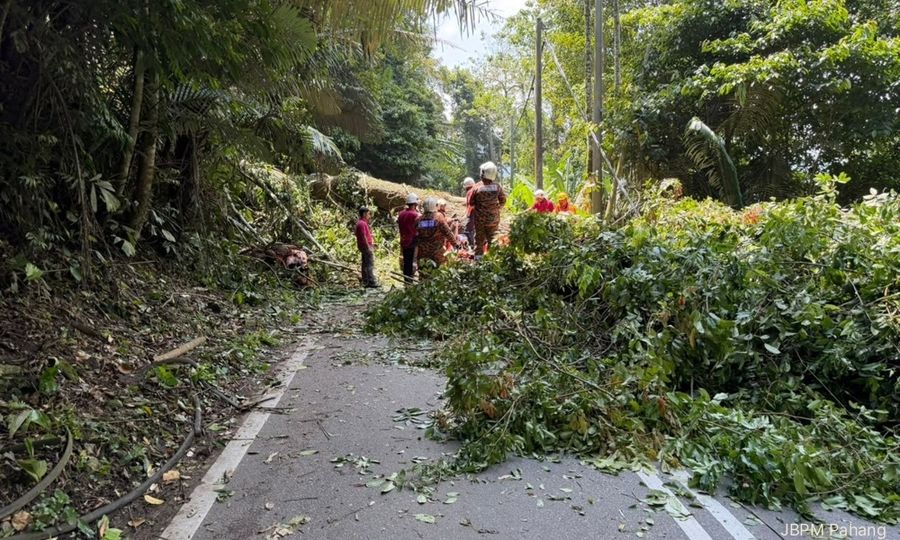 Empat maut kenderaan pacuan empat roda dihempap pokok