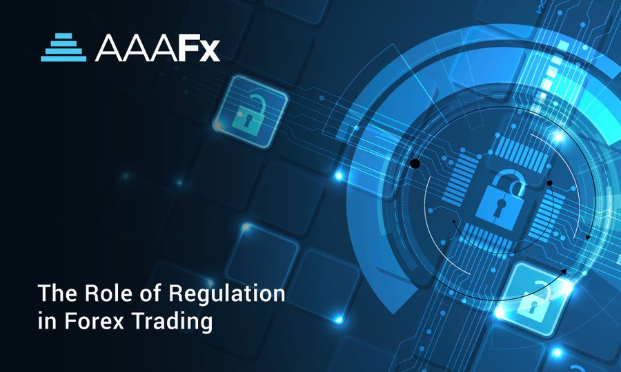 The Role of Regulation in Forex Trading