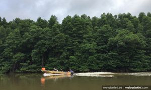 Kitingan's alleged quarry bid raises scrutiny on forest licences