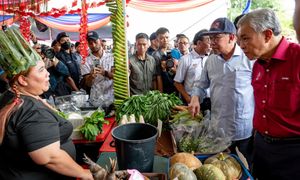 KKDW lulus RM200 juta tambah baik jalan kampung Orang Asli - Zahid