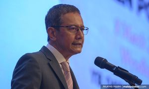 党领导对党章有诠释权，前议长称法庭都无从挑战