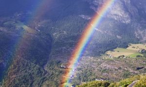 COMMENT | The different colours of carbon