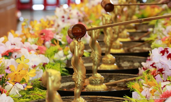Wesak Day values align with national unity aspirations - Minister