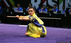SEA Games 2025: M'sia to submit appeal after exclusion of karate, wushu