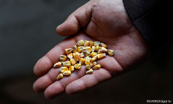 Russia says it resumes participation in Ukraine grain deal