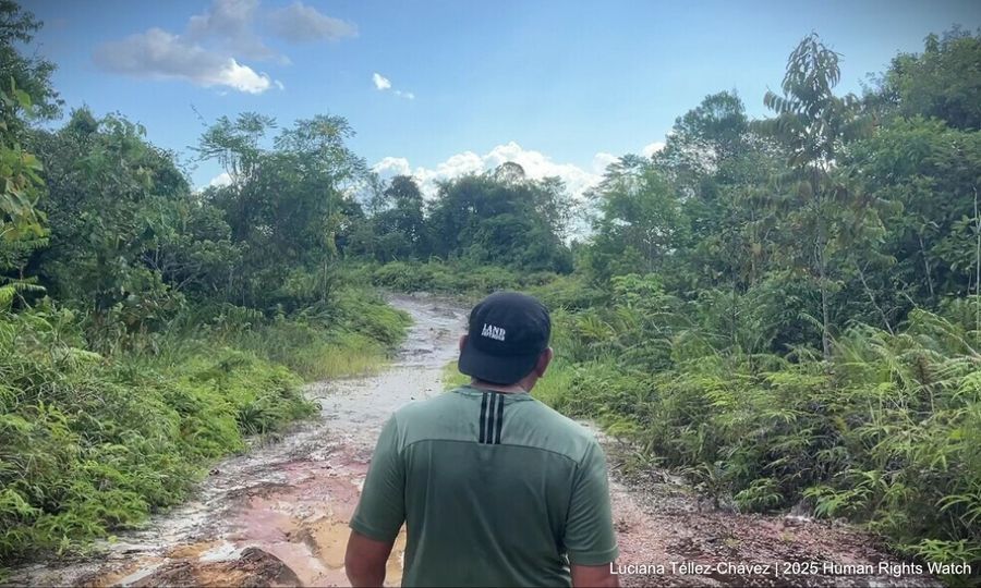 LETTER | Native land and soul: When will justice take root in S'wak?