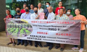 Perak farmers want govt to intervene in land eviction issue