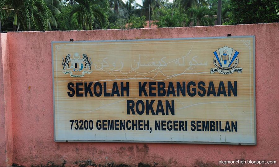 Elderly woman dies after fainting in polling centre
