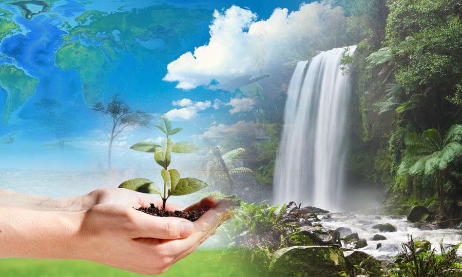 COMMENT | Joy and pain of learning ESG