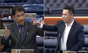 MPs bark at each other over killing of stray dog called ‘Kopi’