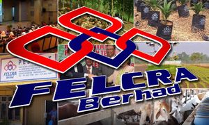 FELCRA承认接管融资项目惟否认原本会获赠免费单位