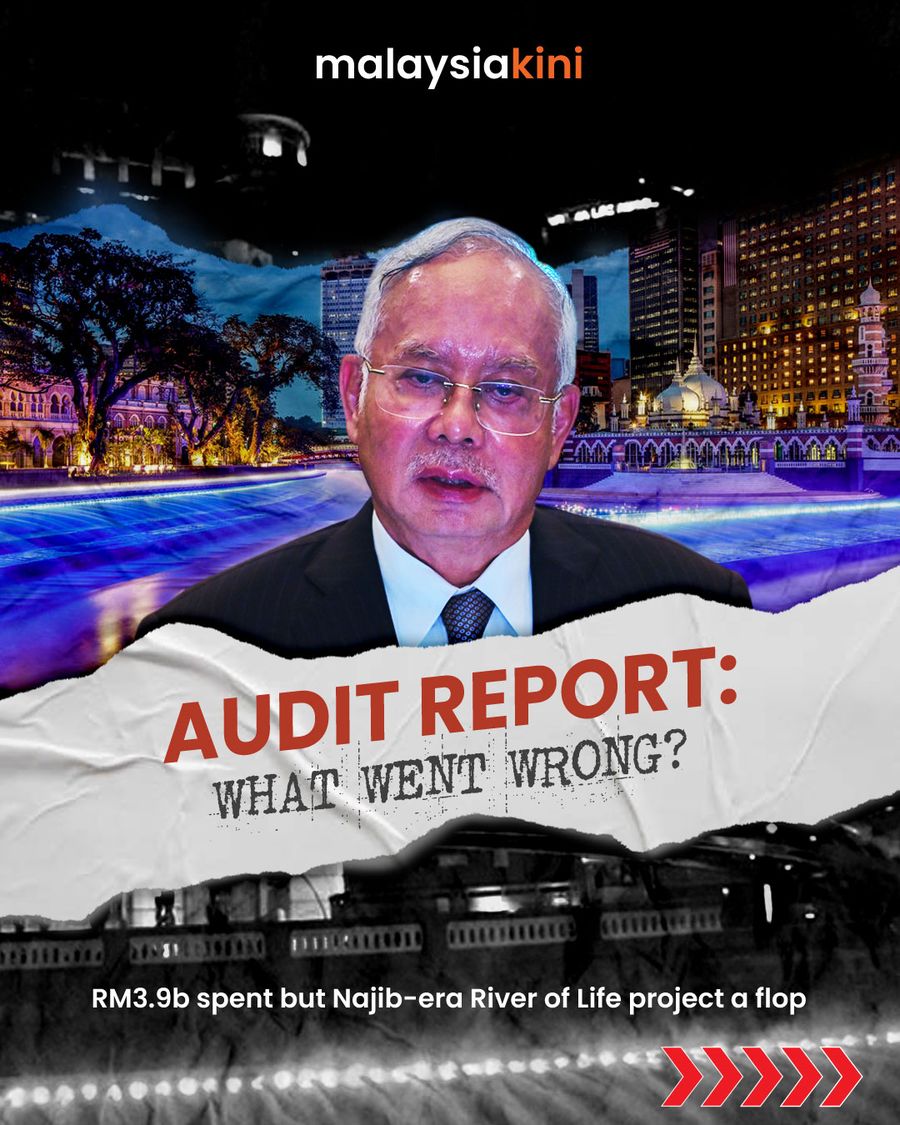 Audit Report: What Went Wrong?