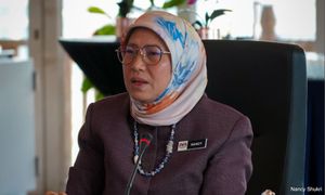 Recognising femicide in law needs cross-agency cooperation, minister says