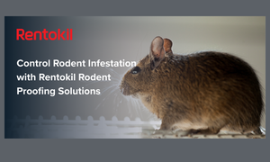 Control Rodent Infestation with Rentokil Rodent Proofing Solutions