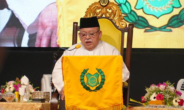 From paddy fields to 'second Dubai' - Perlis ruler outlines bold vision 