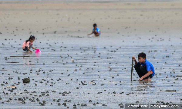 COMMENT | Climate crisis-impacted children need quality education