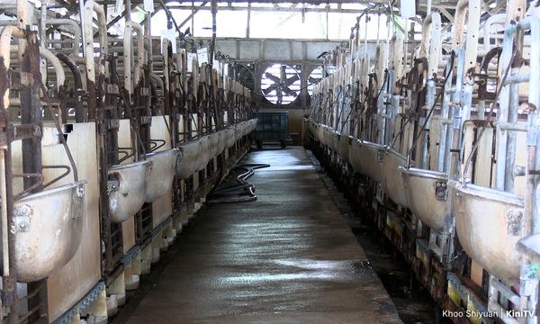 文告｜养猪业存亡攸关粮食安全，不容政客当廉价政治筹码