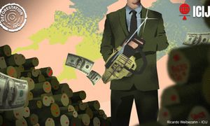 Deforestation Inc: How auditors profit by legitimising deforestation