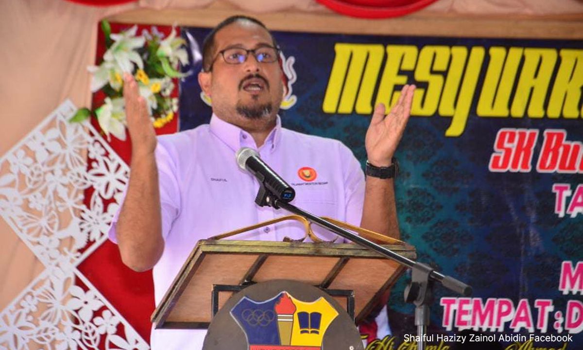 We'll work with PAS, not 'parti kucing' Wawasan, Umno delegate tells Zahid