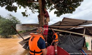 Pokok rambai jadi 'penyelamat' mangsa banjir di Kelantan