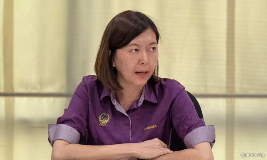 Microchipping, mapping system to address stray animals - exco