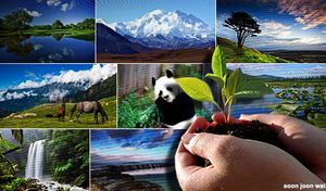 New rules aim to clamp down on corporate greenwashing