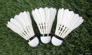 3,000 disasar sertai Kejohanan Badminton Jejak Juara