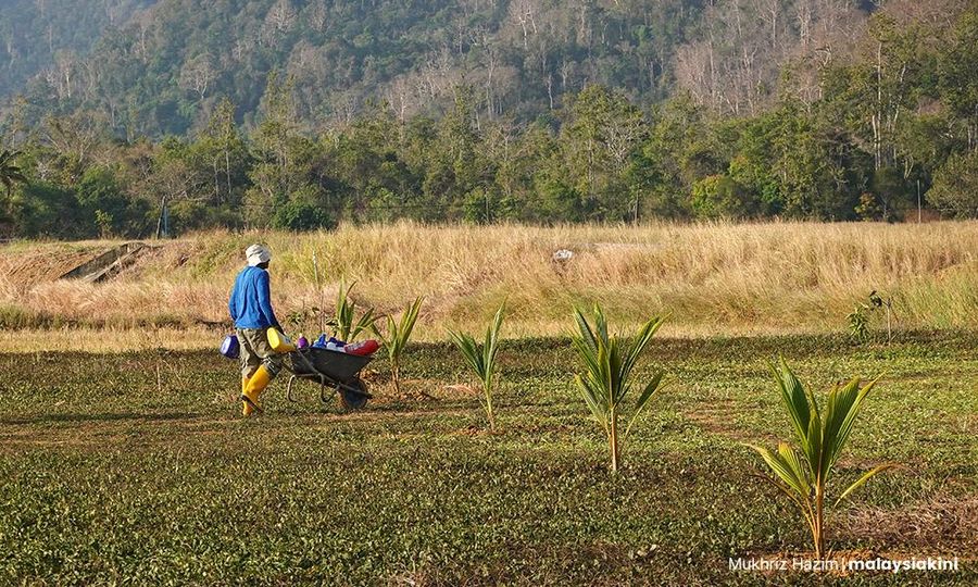 Kedah adakan solat sunat Istisqa' Khamis ini bagi mohon hujan