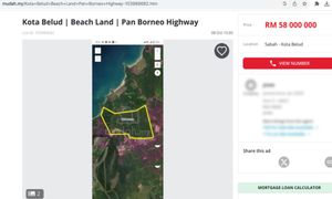LETTER | Forested land advertised online in Sabah, S'wak alarming