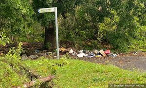 Hukuman khidmat sosial bagi kesalahan buang sampah akan diperkenal