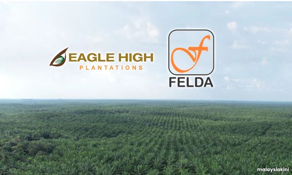 M'sia seeks Indonesia's help over Felda deal that could cause RM2.5b loss