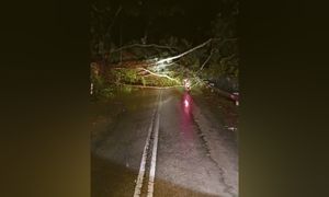 Tanah runtuh, laluan keluar masuk Sungai Lembing terputus