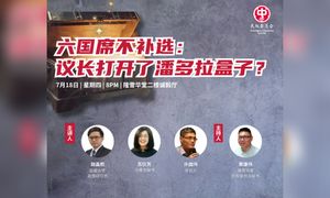 座谈｜六国席不补选：议长打开了潘多拉盒子